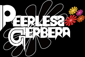 Peerless Gerbera.png