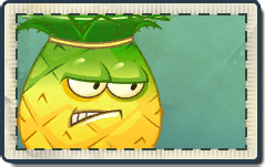 Pineapple Seed Packet.png