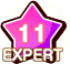 EXPERT11.png