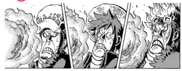 Luffy Law Kid's Face.png