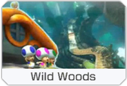 MK8-DLC-Course-icon-WildWoods.png