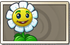 Marigold Common Seed Packet.png