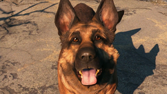 Dogmeat (Fallout 4).png