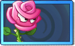 Zorrose Rare Seed Packet.png