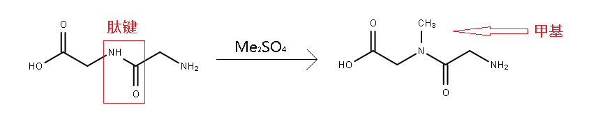 N-Methylation(Simplified).png