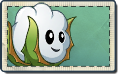 Snowy Cotton Seed Packet.png