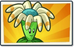 Bloomerang Newer Boosted Seed Packet.png