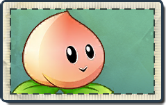 Peach Seed Packet.png