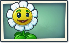 Marigold Newer Seed Packet.png