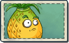 Pineapple New Seed Packet.png