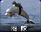 RA2-海豚-图标.png