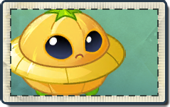 Saucer Squash Seed Packet.png