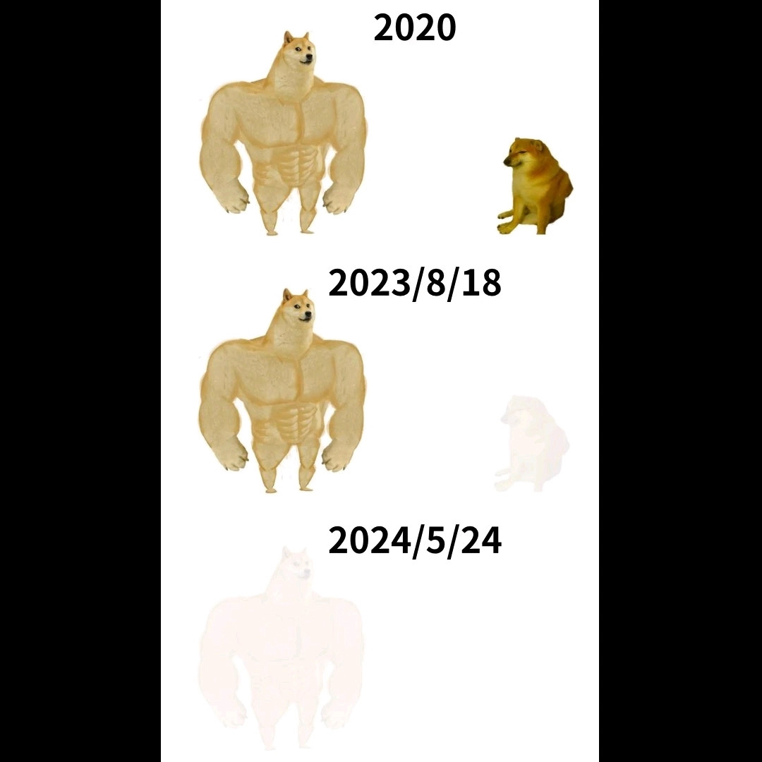 Dogevscheems 2020-2024.jpeg