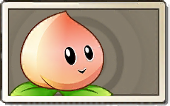 Peach Common Seed Packet.png