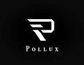 我的战舰-公会-pollux-logo.jpg