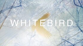 White bird.jpg