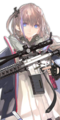 AR15 S1.png