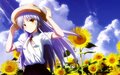 Angel Beats-8.jpg