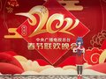 2021中央广播电视总台春节联欢晚会 洛天依抱拳.jpg