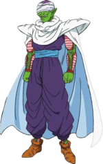 Piccolo-info.png