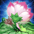 Samsara Regenerating Lotus.jpg