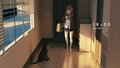 White-stockings-anime-girls-dog-wallpaper-preview.jpg