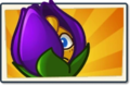 Shrinking Violet Newer Boosted Seed Packet.png