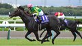 Satono Crown - Takarazuka Kinen 2017.jpg