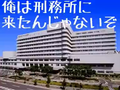 2023年8月5日 (六) 23:18的版本的缩略图