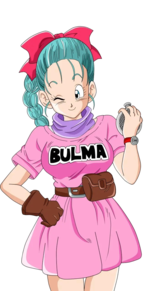 Bulma.png