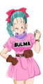 Bulma.png