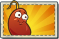 Chili Bean Boosted Seed Packet.png