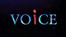 VOiCE.png