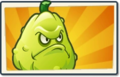 Squash Newer Boosted Seed Packet.png