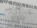 2022年2月12日 (六) 10:07的版本的缩略图