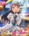 Kotoha SR31.jpg