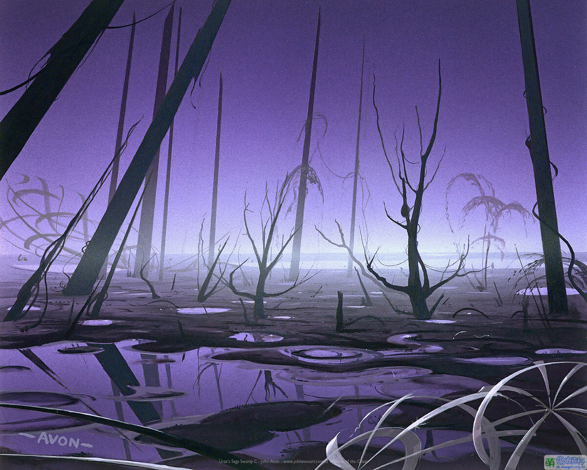 Mtgswamp-avon.jpg