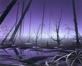 Mtgswamp-avon.jpg