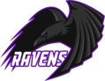 Ravens DOTA2 Esports.png