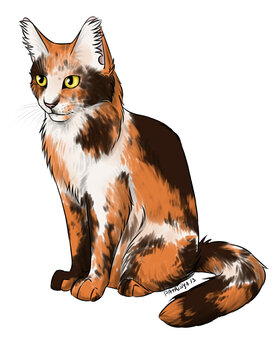 Spottedleaf - Cat-Patrisiya.jpg