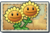 Twin Sunflower New Ancient Egypt Seed Packet.png