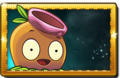 Gumnut New Premium Seed Packet.png