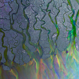 Alt-J - An Awesome Wave.jpg