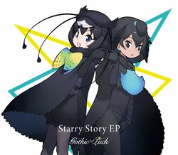 Starry story完全.jpg