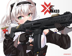 HK433 cover.jpg