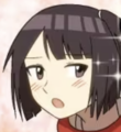 秦安溪介绍.png