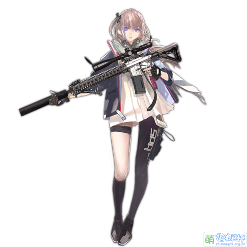 AR15 T.png