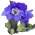 Meconopsis1.png