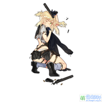 Pic Welrod D.png