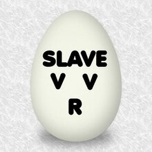 Slave V V R 萌娘百科万物皆可萌的百科全书